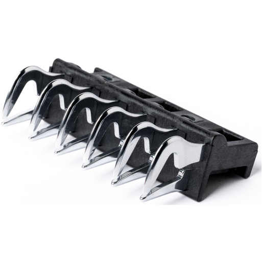 BLOQUE DIENTE GUIA D1 6/6